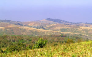 landscape, nature, field, blue sky, hills, spring