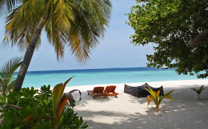 beach, landscape, sea, coast, trees, water, nature, sand, ocean, sunshine, shore, chairs, summer, vacation, travel, coastline, relax, paradise, tropical, seascape, holiday, lagoon, bay, island, resort