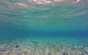 sea, water, nature, ocean, diving, underwater