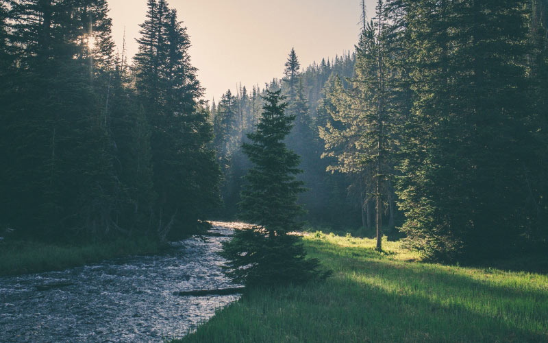 landscape, trees, nature, forest, wilderness, mountains, sunrise, mist, sunlight, morning, hill, dawn, river, tranquil, alps