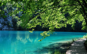 landscape, trees, water, nature, forest, sunlight, lake, river, pond, tranquil, park
