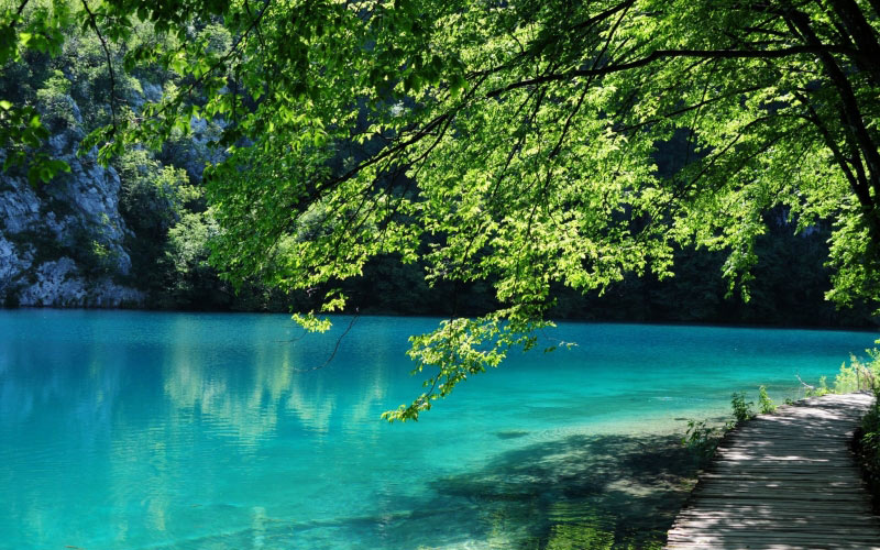 landscape, trees, water, nature, forest, sunlight, lake, river, pond, tranquil, park