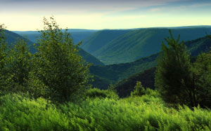 landscape, trees, nature, forest, grass, wilderness, mountains, sky, morning, hill, valley, summer, green, hills, grassland