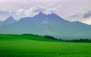 landscape, mountains, field, scenic, nature, green, grass