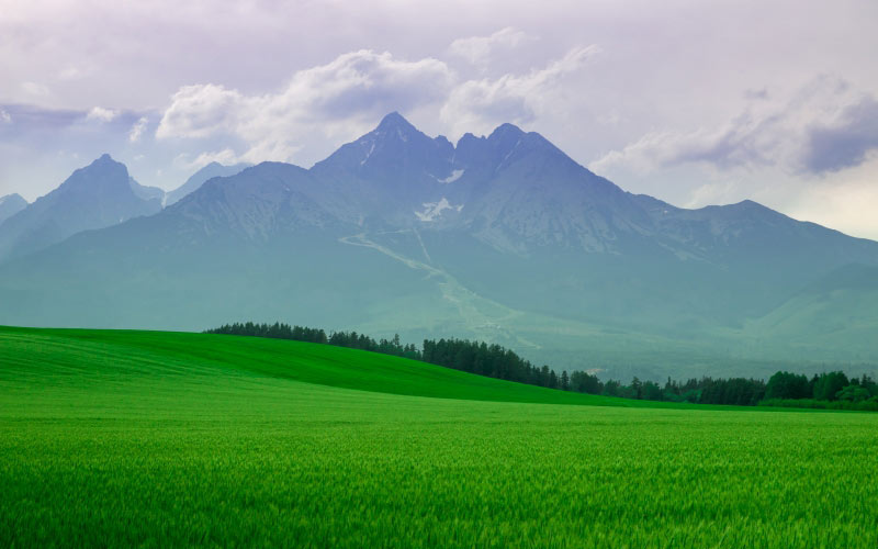 landscape, mountains, field, scenic, nature, green, grass