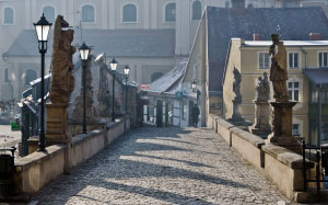 gothic, bridge, architecture, city, statues
