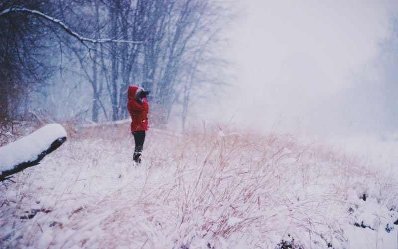 nature, snow, cold, winter, woman, blizzard, freezing, storm, man, people