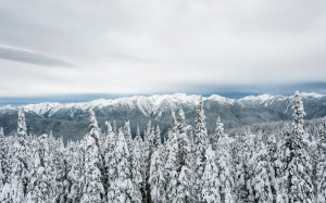 cold, forest, landscape, mountains, nature, outdoors, scenic, snow, trees, winter, woods, sky, clouds