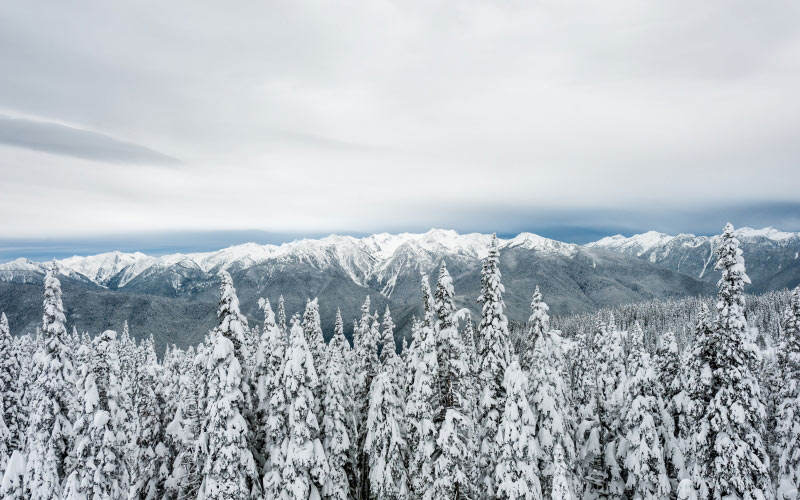 cold, forest, landscape, mountains, nature, outdoors, scenic, snow, trees, winter, woods, sky, clouds