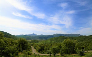 mountains, nature, green, forest, trees, highland, sky, landscape, hills, grassland, valley, rural, road, prairie