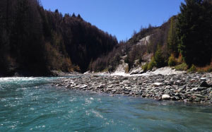 lord of the rings, new zealand, lotr, fantasy, river, forest, nature, landscape