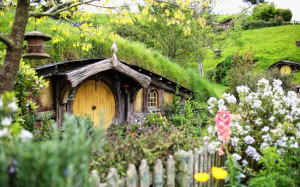 hobbiton, lord of the rings, hobbits, new zealand, lotr, fantasy, house, home