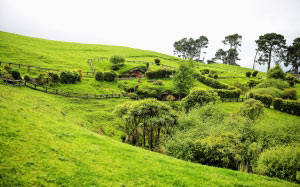 hobbiton, lord of the rings, hobbits, new zealand, lotr, fantasy, house, home, landscape, nature