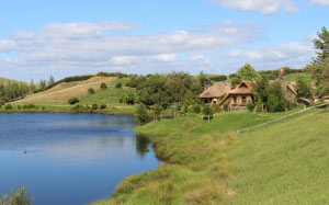 hobbiton, lord of the rings, hobbits, new zealand, lotr, fantasy, house, home, lake