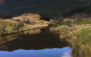 new zealand, lord of the ring, lotr, fantasy, landscape, nature, pond, lake, hill, mountain