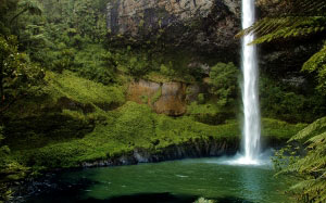 nature, new zealand, waterfall, wilderness