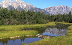 wyoming, mountains, forest, trees, woods, summer, spring, landscape, water, pond, countryside, nature