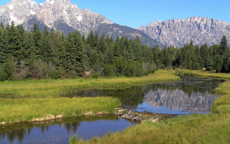 wyoming, mountains, forest, trees, woods, summer, spring, landscape, water, pond, countryside, nature