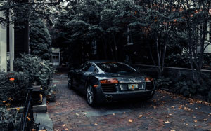audi, trees, audi r8, automobile, automotive, car, expensive, luxury car, pavement, plants, sports car, vehicle, city, street