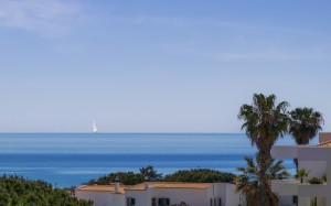 summer, sea, sky, water, boat, coastal, ocean, horizon, landscape, beach, palm tree, shore, tropics, coast, caribbean, sailboat, ocean, island, tourism, resort, sailing, leisure