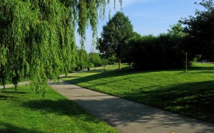 park, nature, landscape, summer, blue, green