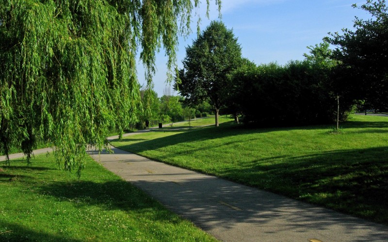 park, nature, landscape, summer, blue, green