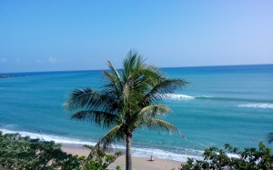 bashi channel, chateau beach, resort, kenting, palm tree, beach, sea, ocean, landscape