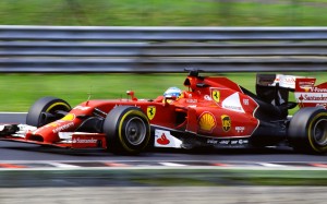 fast, speed, racing, speedway, racing car, racer, race track, motor sport, racetrack, formula 1, f1, auto racing, ferrari, fernano alonso