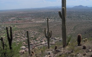 hill, scottsdale, arizona, landscape, desert, cactuses, mountains, high