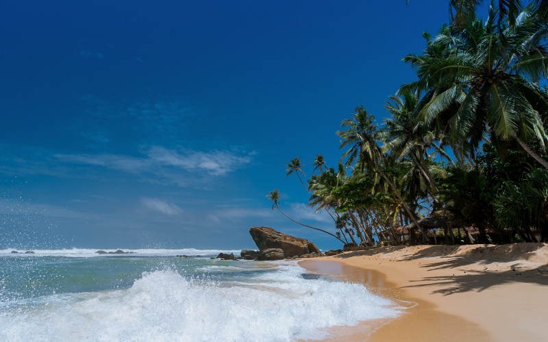 beach, waves, nature, ocean, palm trees, tropical, island, paradise, coconut, idyllic, relaxation, sand, sea, seashore, summer, sun, travel, tropical, vacation, blue