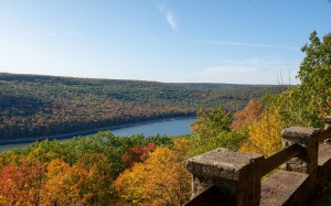 leaves, allegheny national forest, forest, fall, autumn, landscape, trees, nature, river