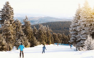 people, skiing, winter, snow, trees, winter sport, mountains, sports, holiday, nature, mountain range, vacations, trip, outdoors