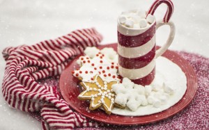 christmas, xmas, dessert, hot chocolate, ginger bread, cookies, food, drink, new year, candy cane