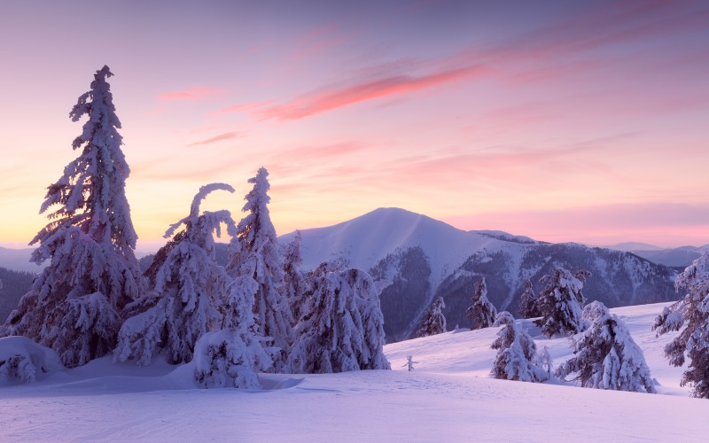 national natural park, synevyr, mount strymba, mountains, carpathians, transcarpathia, ukraine, landscape, winter, snow
