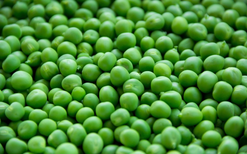 seeds, food, green, cooking, vegetable, crop, natural, fresh, agriculture, healthy, freshness, pea, vitamin, tasty, vegan, vegetarian, raw, diet, peas