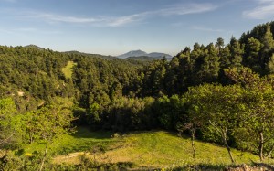 nature, landscape, euboea island, greece, trees, hills, forest, summer