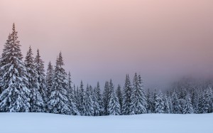 landscape, nature, winter, snow, mountains, sunset, forest, wood, fog, mist