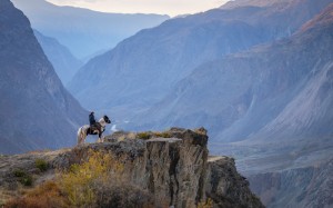 altai nature reserve, mountains, altai, nature, man, landscape, horse, steed, rider