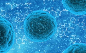 bacteria, virus, cells, bio, micro, technology