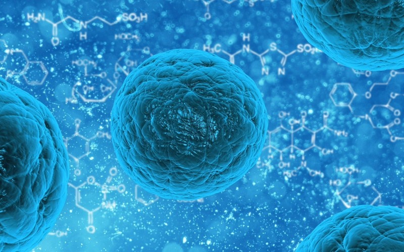 bacteria, virus, cells, bio, micro, technology