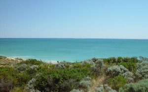 dunes, scrub, sea, beach, landscape, nature