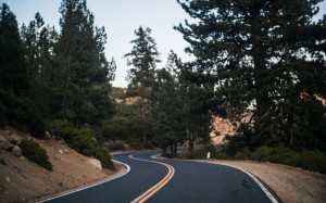trees, road, highway, driving, asphalt, route, trip