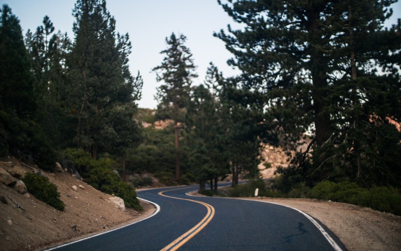 trees, road, highway, driving, asphalt, route, trip