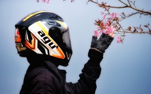 flowers, outerwear, helmet, sports, sports gear, motorcycle, headgear, protective, sportswear, twig, blossom, uniform, motorsport, racing, bloom, spring
