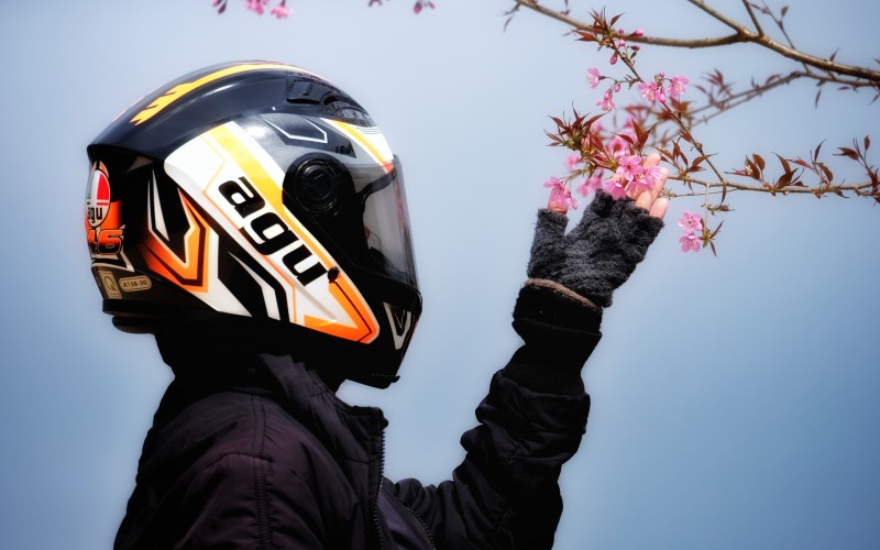 flowers, outerwear, helmet, sports, sports gear, motorcycle, headgear, protective, sportswear, twig, blossom, uniform, motorsport, racing, bloom, spring