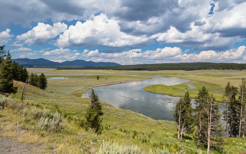 landscape, summer, hayden valley, river, yellowstone national park, nature, forest, mountains, clouds