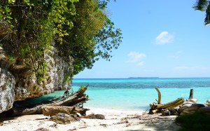 beach, driftwood, sea, coast, water, nature, outdoor, ocean, wilderness, summer, vacation, travel, coastline, idyllic, tranquility, cove, relax, paradise, tropical, seascape, lagoon, bay, island, leisure, sunny, resort, caribbean, exotic