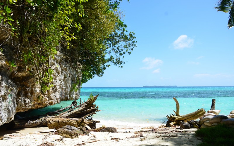 beach, driftwood, sea, coast, water, nature, outdoor, ocean, wilderness, summer, vacation, travel, coastline, idyllic, tranquility, cove, relax, paradise, tropical, seascape, lagoon, bay, island, leisure, sunny, resort, caribbean, exotic
