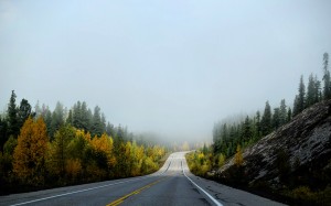 autumn, fall, nature, landscape, jasper national park, canada, road, path
