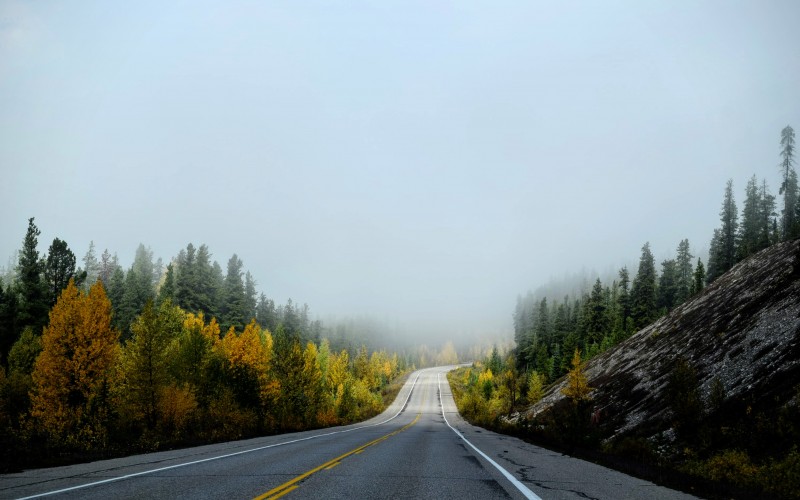 autumn, fall, nature, landscape, jasper national park, canada, road, path
